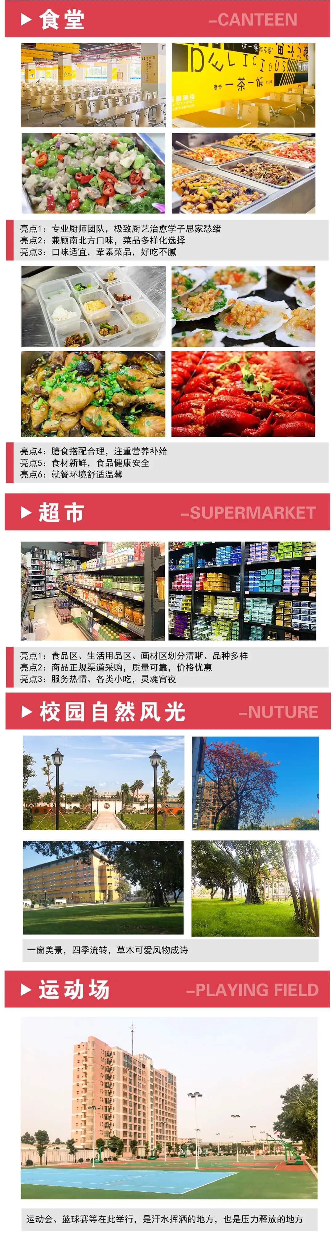 廣州美術(shù)培訓畫室
