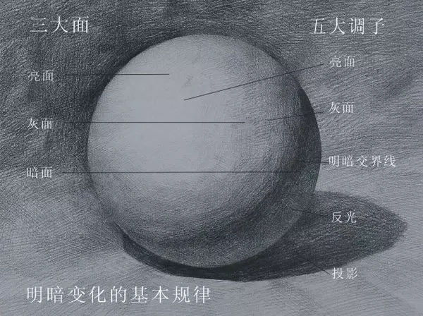 廣州藝考畫室帶你手把手了解素描的入門知識點 02