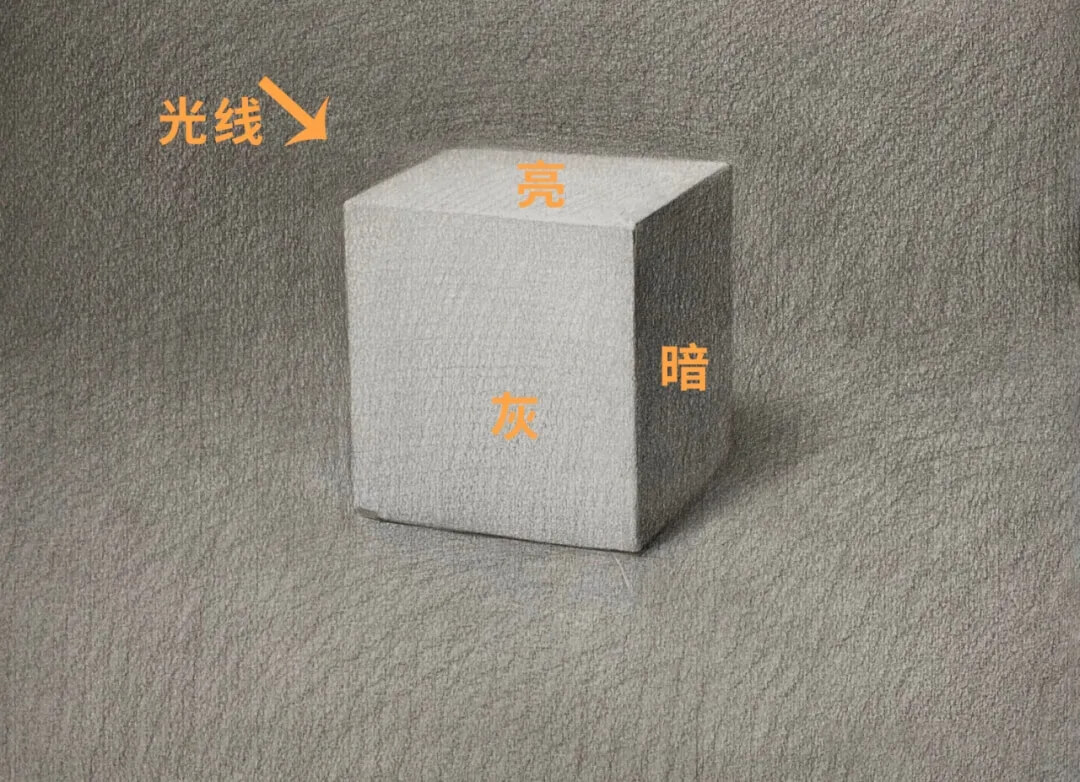 素描靜物缺少立體感？黑白灰關系一定要處理好3