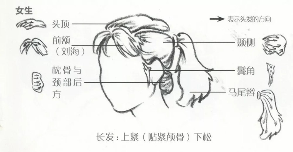 廣州畫室小圍給大家推薦速寫超強干貨丨頭發五大刻畫要點,09