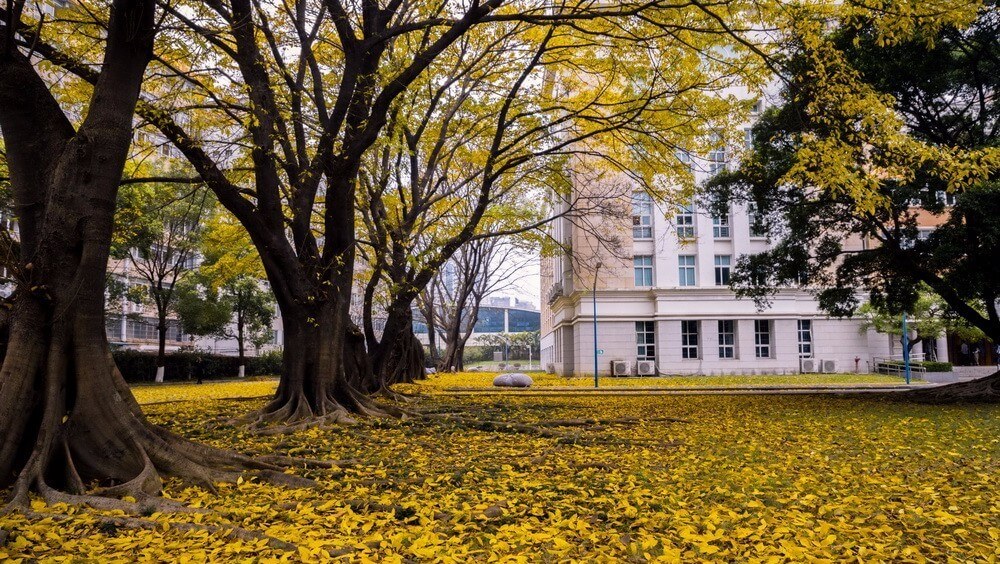 廣東省雙一流大學有哪些招收藝術生？報考院校又需要多少分！圖六