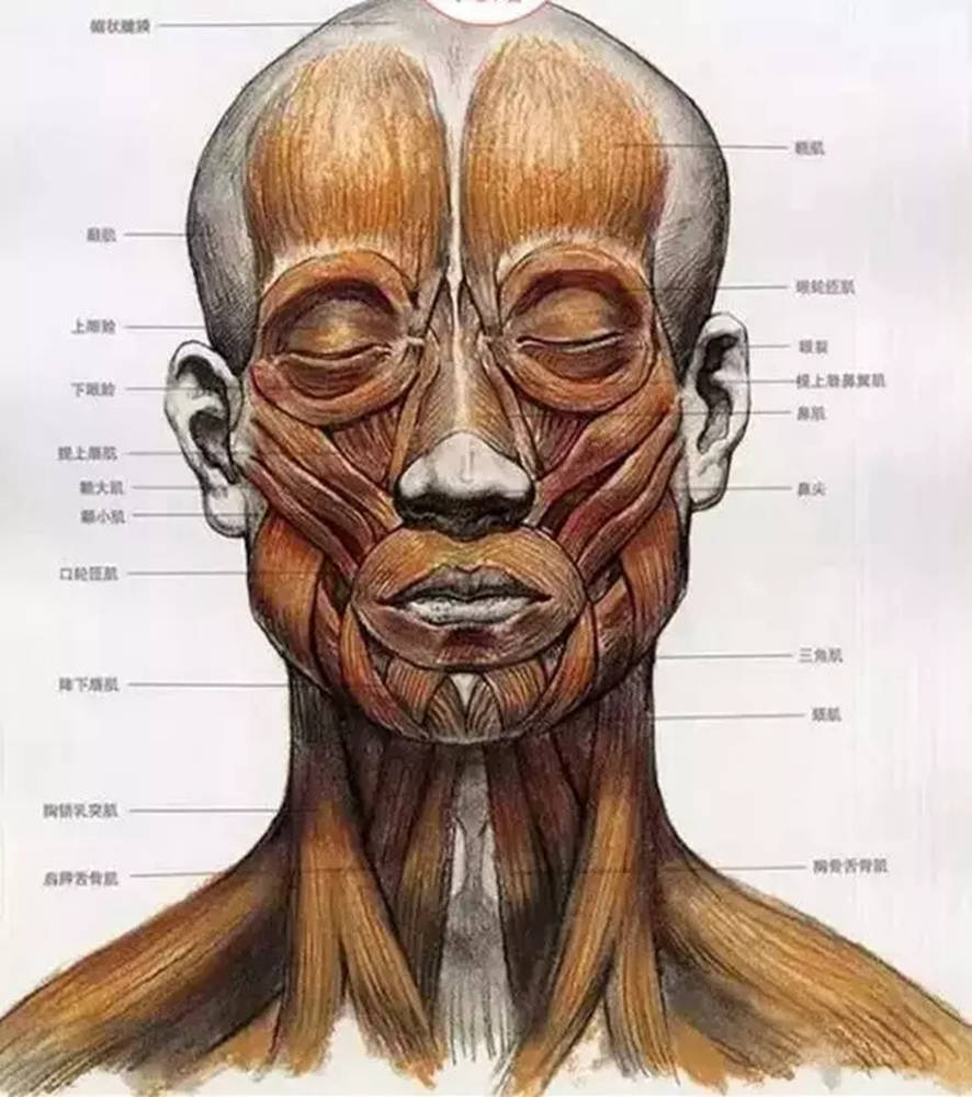 廣州畫室,廣州素描培訓畫室,廣州藝考畫室,02