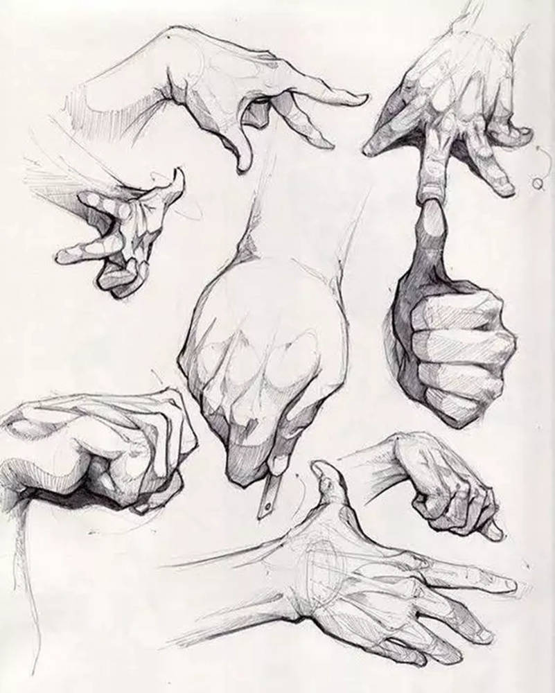 廣州畫室,廣州素描美術培訓畫室,廣州素描畫室,23