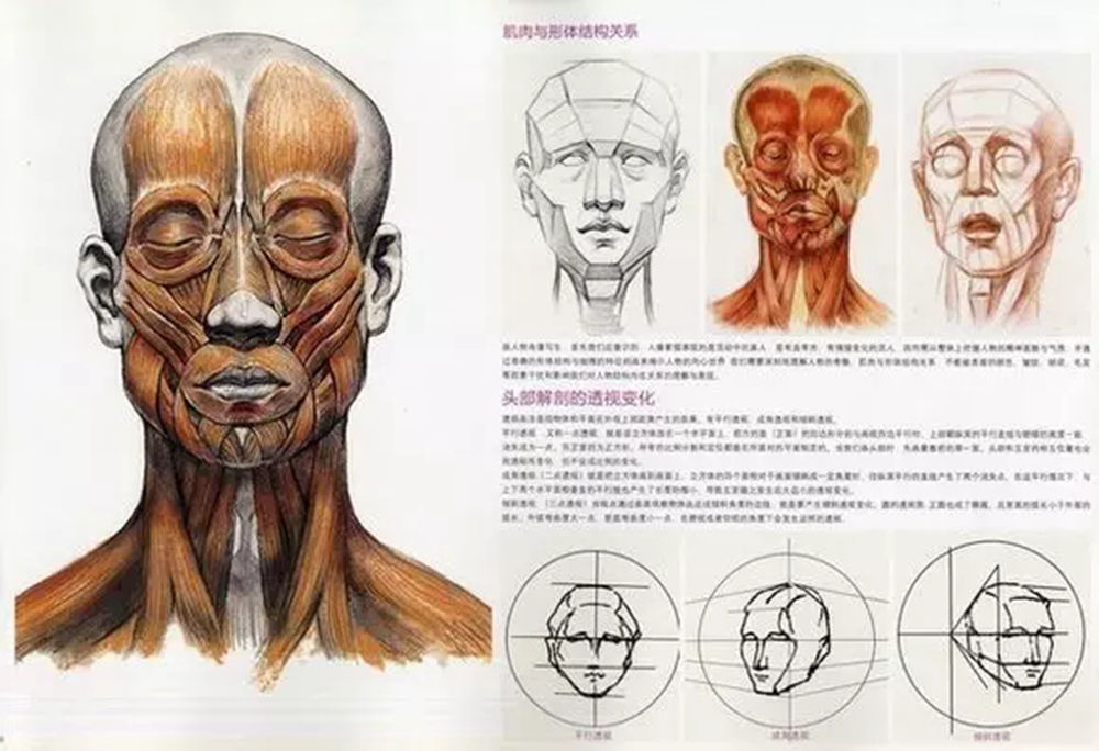 廣州畫室,廣州素描培訓畫室,廣州藝考畫室,08