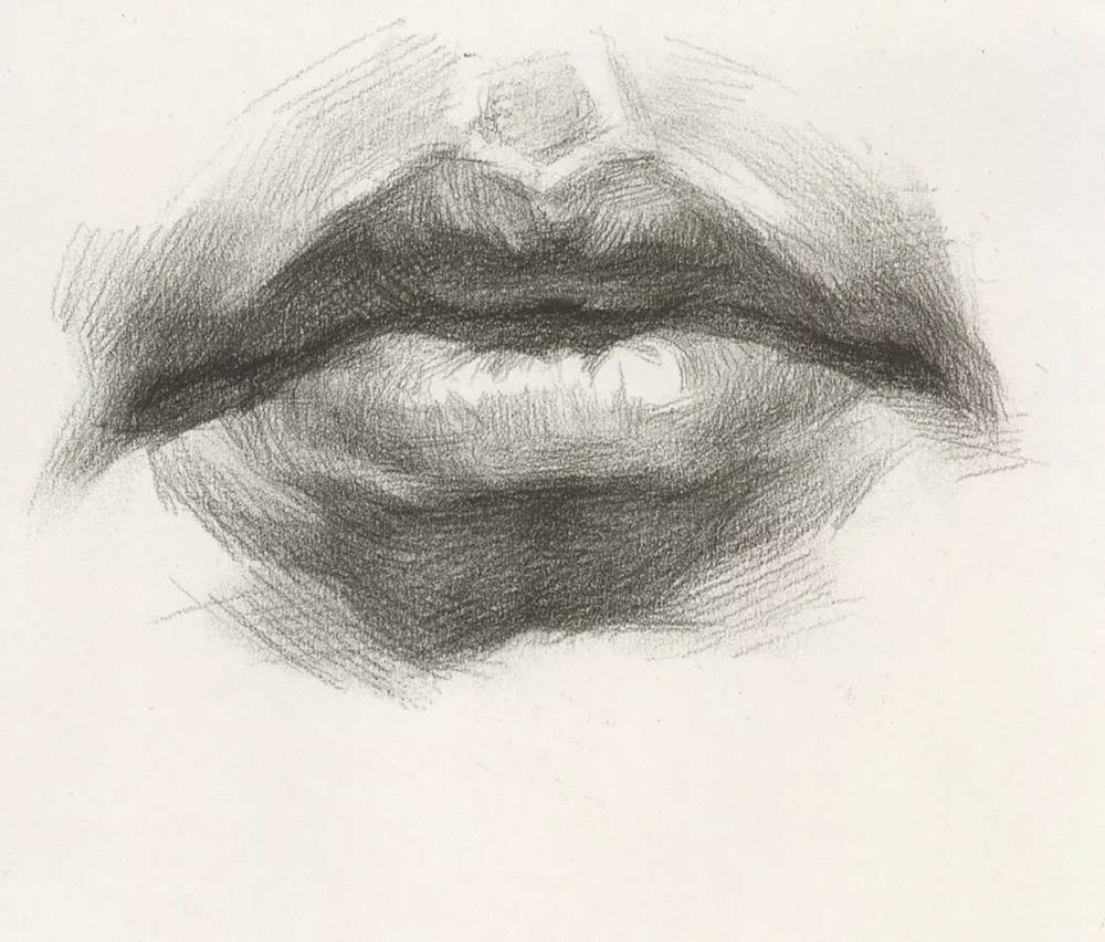 廣州藝考畫室,廣州素描畫室,廣州畫室素描培訓,50
