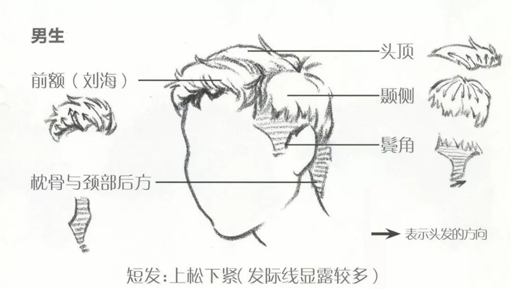 廣州畫室小圍給大家推薦速寫超強干貨丨頭發五大刻畫要點,10
