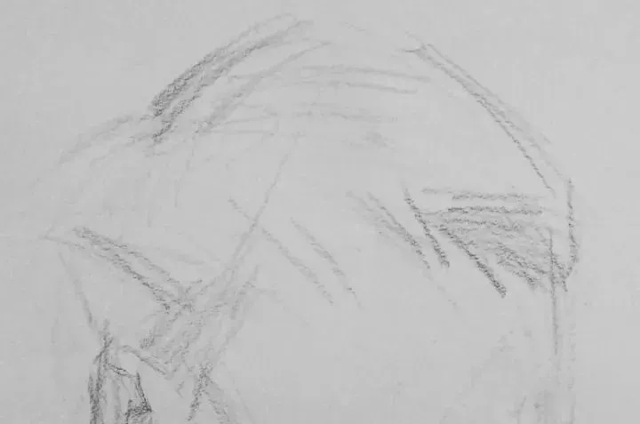  廣州畫室排名前三畫室教你如何讓你的素描頭發看起來不死板粗糙有質感,42