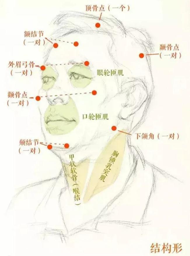廣州排名前十畫(huà)室給你整理的干貨|教你畫(huà)一張高分素描頭像,04
