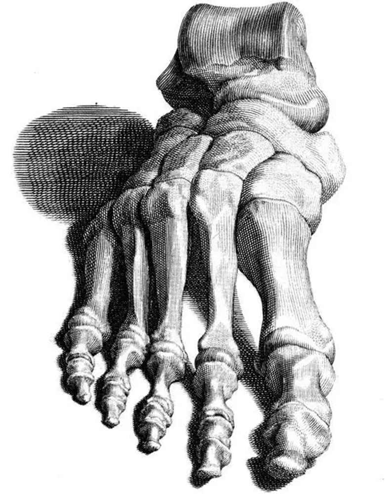 廣州畫室,廣州素描美術培訓畫室,廣州素描畫室,27
