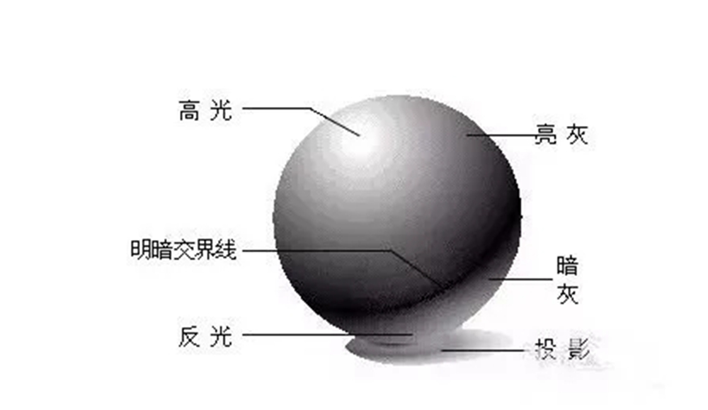 廣州畫(huà)室排名前三畫(huà)室教你素描初學(xué)入門(mén)怎樣畫(huà)明暗交界線(xiàn),04