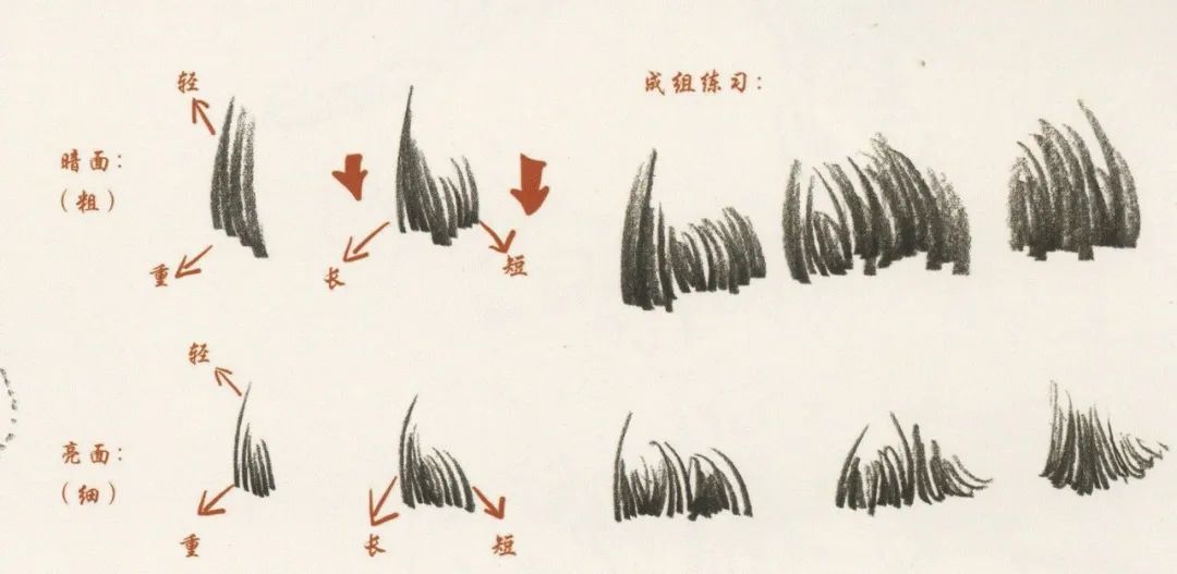 廣州畫室排名前五畫室干貨丨速寫頭發如何畫，這份步驟大概最完整,02