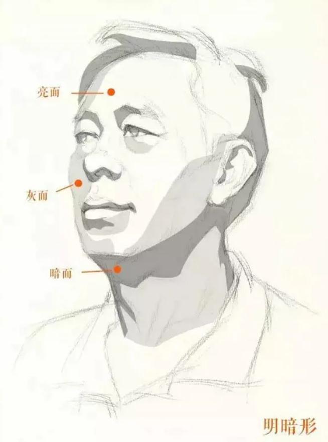 廣州排名前十畫(huà)室給你整理的干貨|教你畫(huà)一張高分素描頭像,05