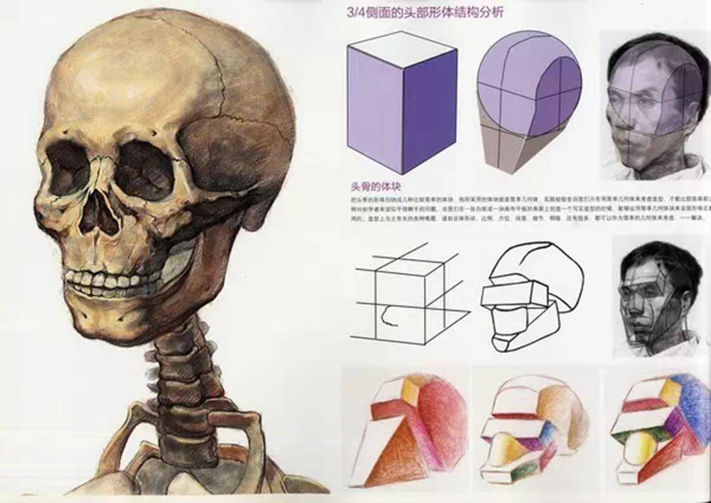 廣州畫室,廣州素描培訓畫室,廣州藝考畫室,11