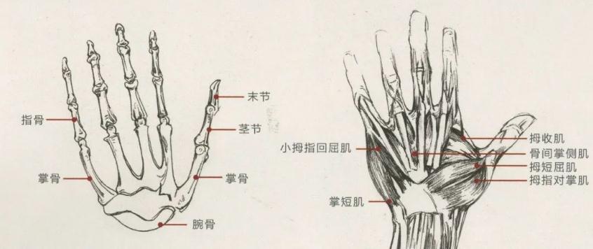 廣州畫室前五排名畫室超強干貨丨速寫的得分點，你知道不,01