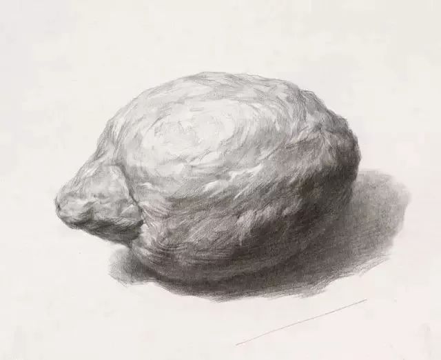 廣州美術高考班告訴你吃透這7類素描靜物質感，聯考不用怕了,05