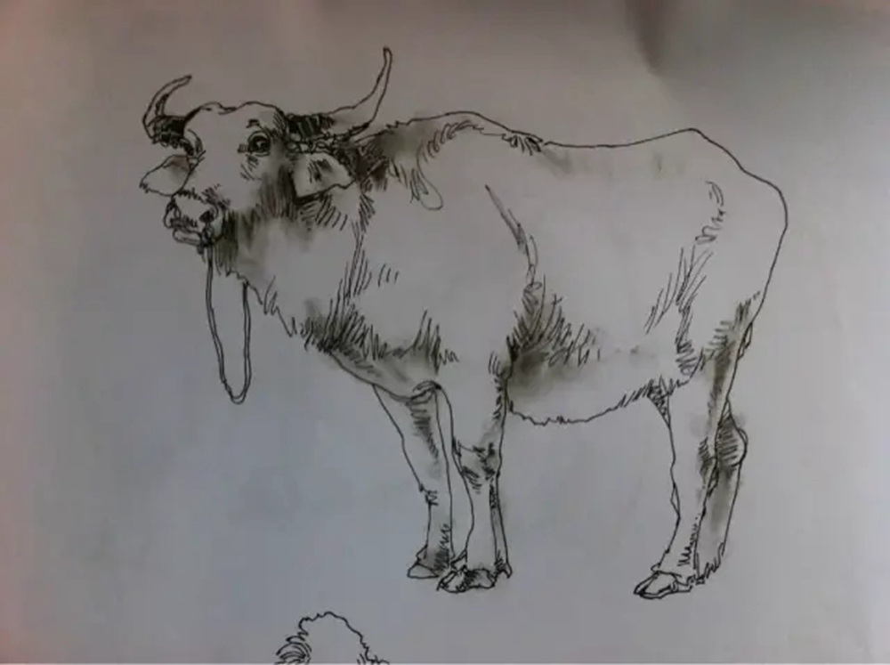 如果你正在學習線描速寫，廣州藝考畫室覺得這52幅作品正合適你,40