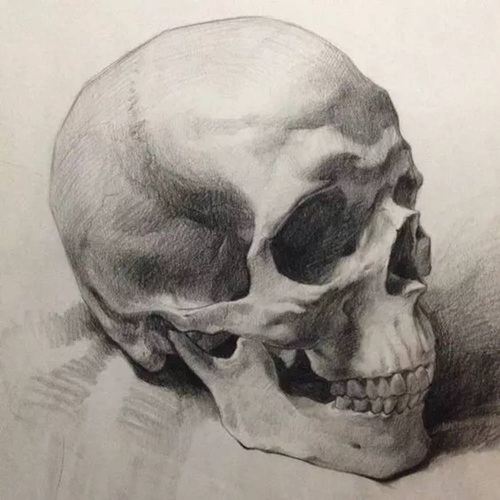 廣州畫室,廣州素描美術培訓畫室,廣州素描畫室,14