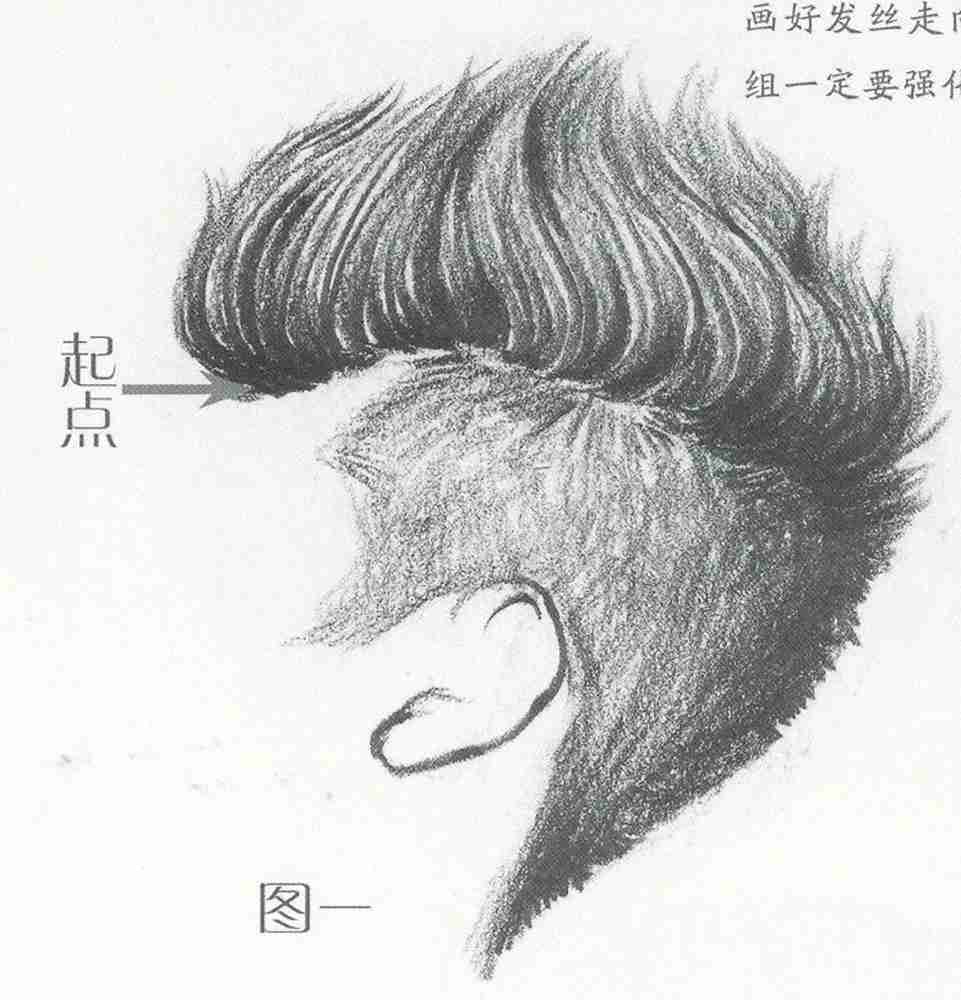 廣州畫室小圍給大家推薦速寫超強干貨丨頭發五大刻畫要點,02