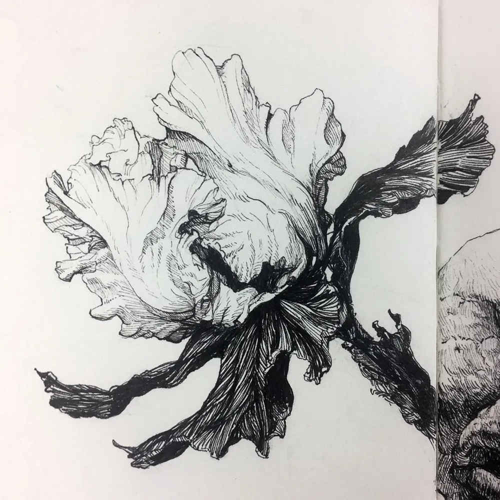 廣州藝考畫室,廣州畫室,廣州素描培訓畫室,02
