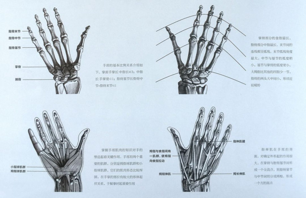 廣州畫室速寫知識(shí),廣州速寫美術(shù)培訓(xùn),廣州速寫培訓(xùn)技巧,07