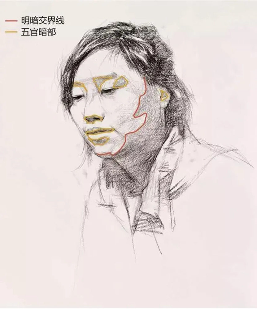 【廣州畫室基礎鞏固】女青年頭像素描拿分點歸納,07