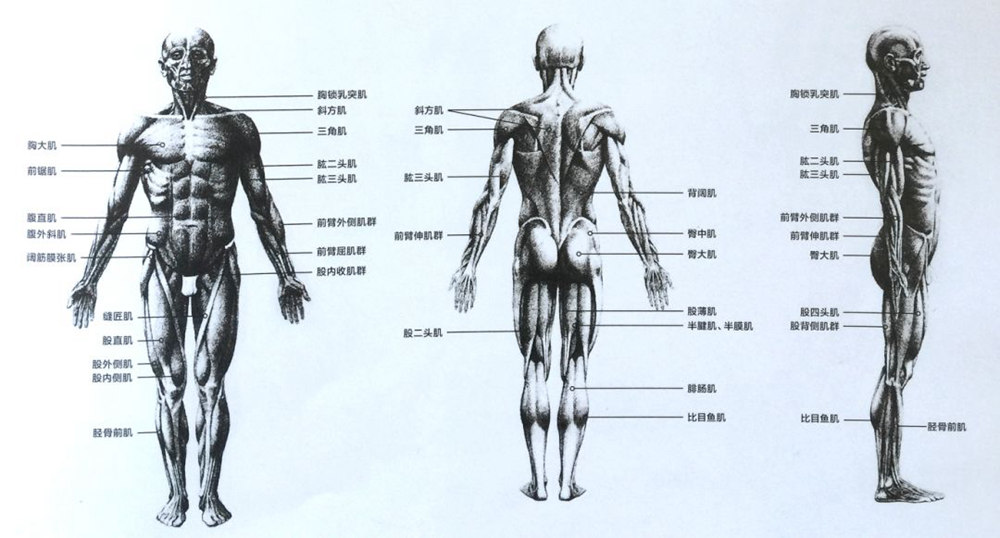 廣州畫室速寫知識(shí),廣州速寫美術(shù)培訓(xùn),廣州速寫培訓(xùn)技巧,05