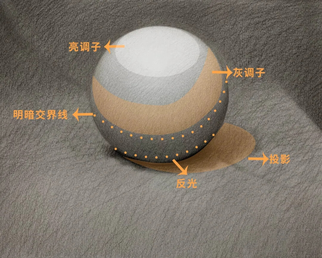 素描靜物缺少立體感？黑白灰關系一定要處理好2