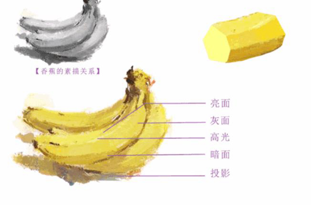 廣州畫室,廣州美術畫室,廣州美術校考畫室,02