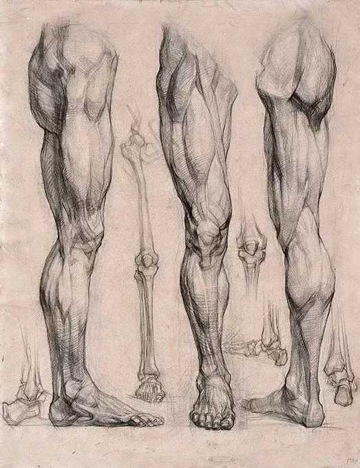 廣州美術高考班給咱安利一些列賓素描頭像結構，讓你受用一生,26