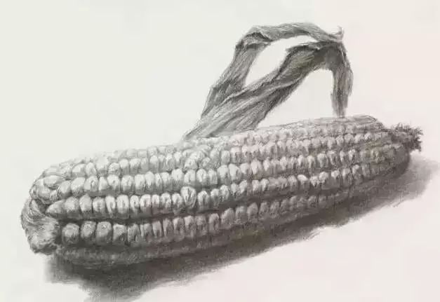 廣州美術高考班告訴你吃透這7類素描靜物質感，聯考不用怕了,09