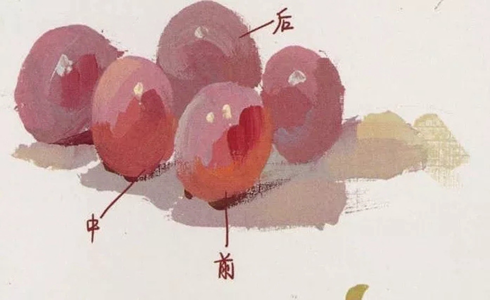 廣州前十畫室超強(qiáng)干貨丨最全【葡萄】色彩靜物教程,05
