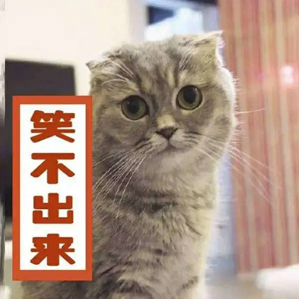 廣州畫室,廣州繪畫培訓,廣州藝考畫室,01