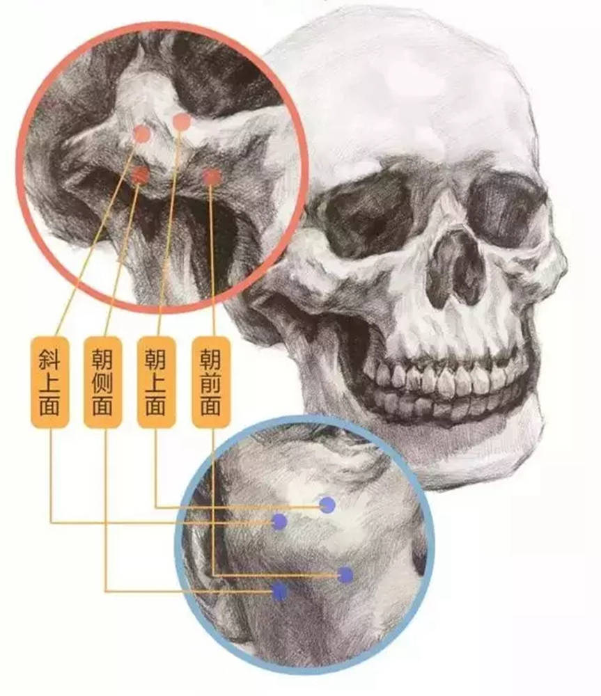 廣州畫室,廣州素描培訓畫室,廣州藝考畫室,05