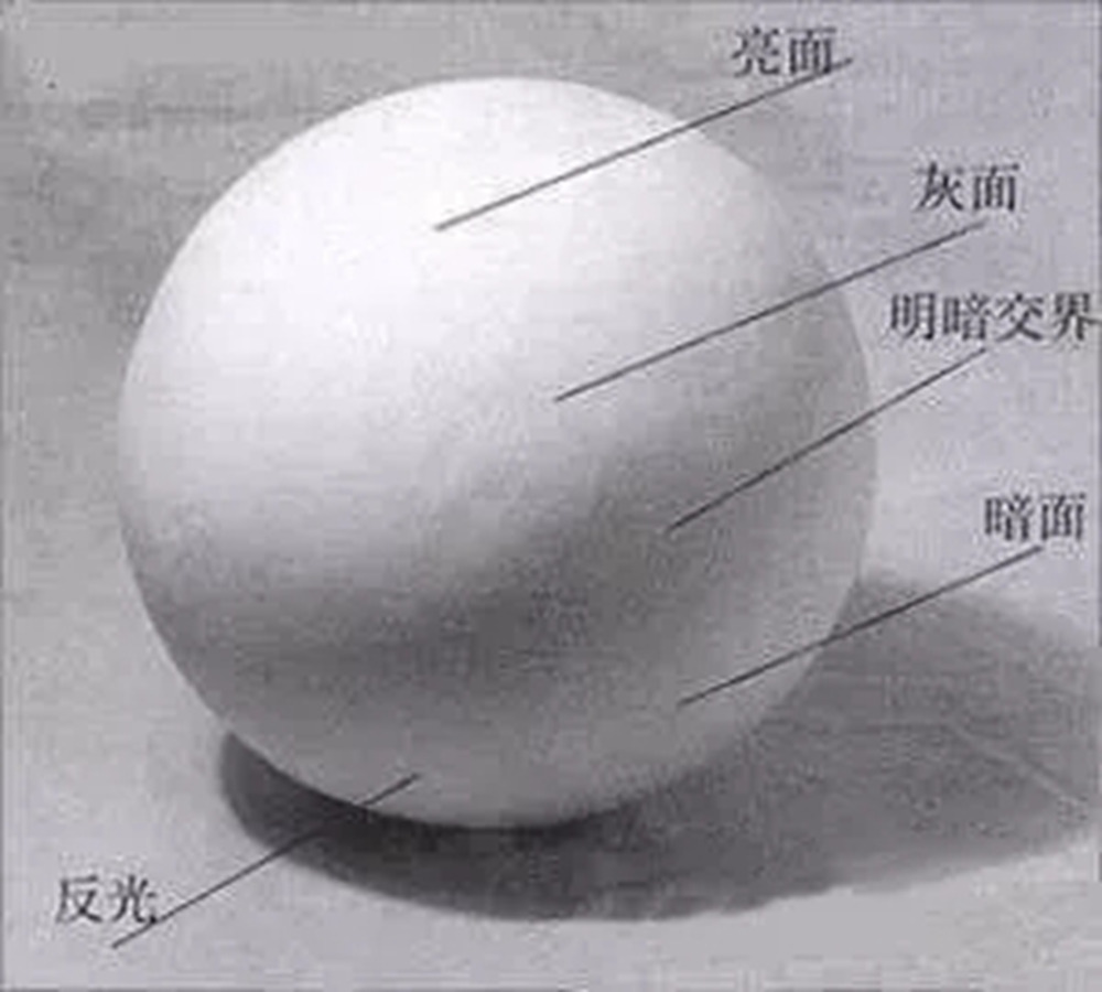 廣州畫(huà)室排名前三畫(huà)室教你素描初學(xué)入門(mén)怎樣畫(huà)明暗交界線(xiàn),01