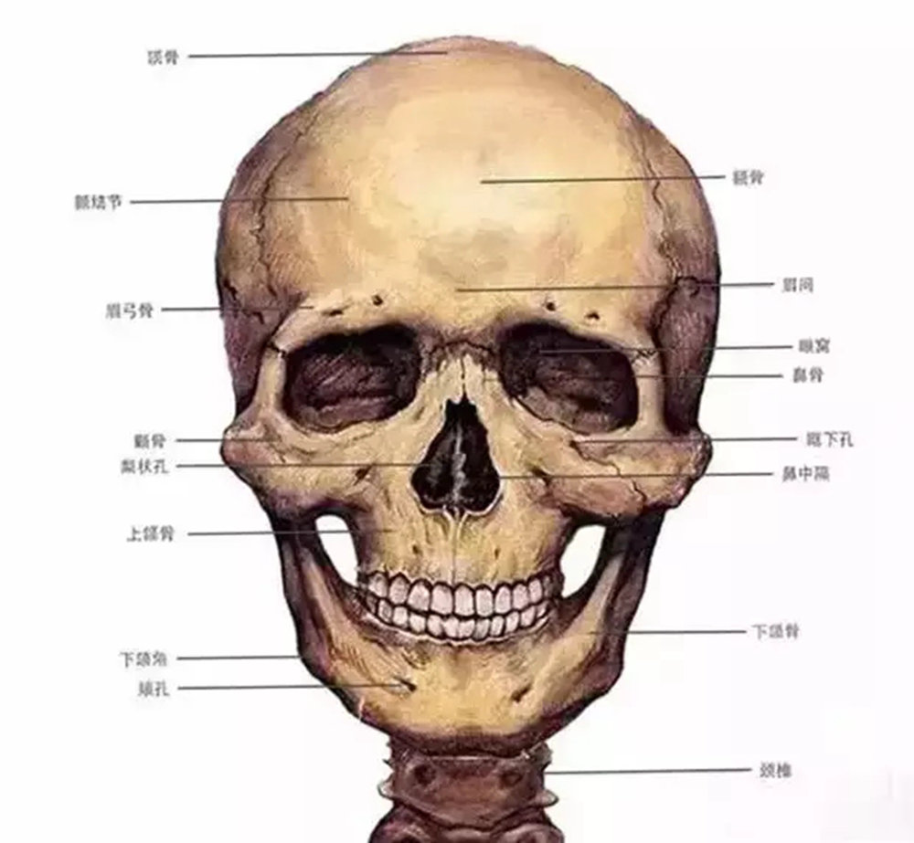 廣州畫室,廣州素描培訓畫室,廣州藝考畫室,01