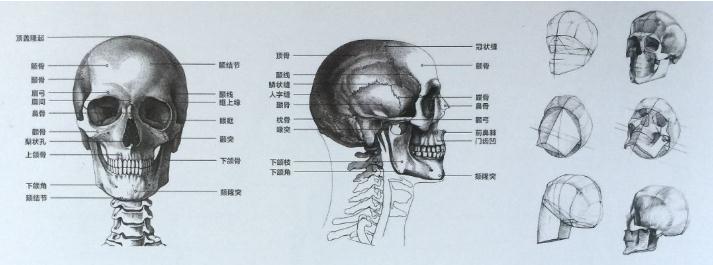 廣州畫室速寫知識(shí),廣州速寫美術(shù)培訓(xùn),廣州速寫培訓(xùn)技巧,06